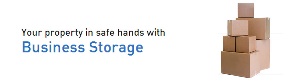 Business Storage